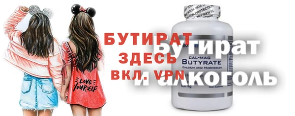 шишки Няндома