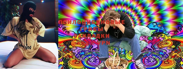 шишки Няндома