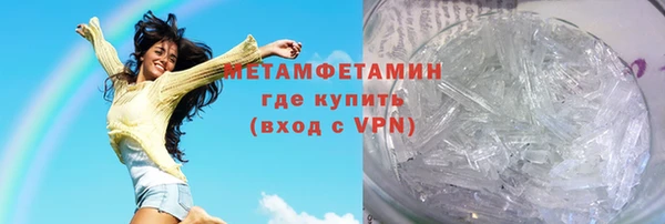 шишки Няндома
