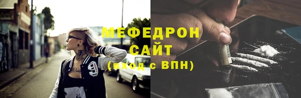 шишки Няндома