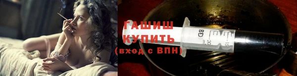 шишки Няндома