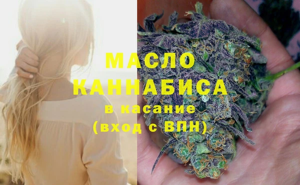 шишки Няндома