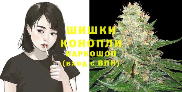 шишки Няндома