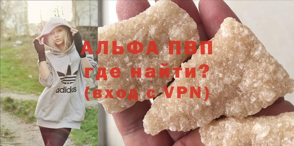 шишки Няндома
