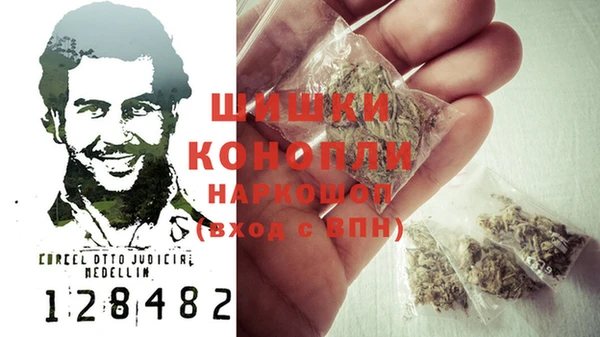 сатива Нягань