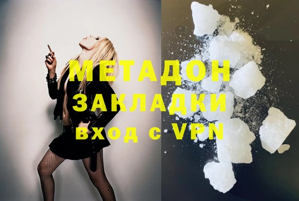 шишки Няндома