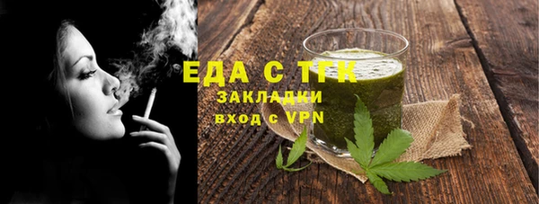 шишки Няндома