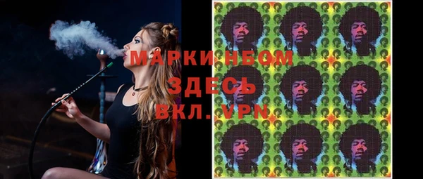 шишки Няндома