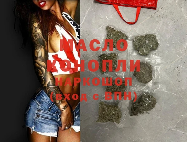 шишки Няндома
