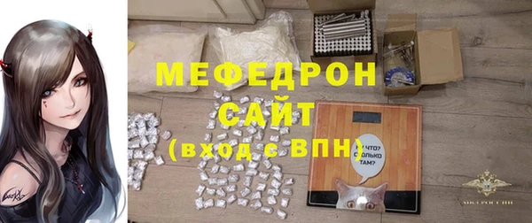 шишки Няндома