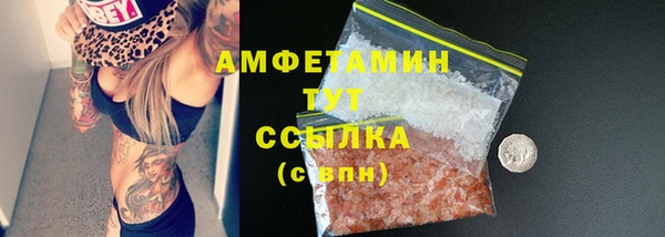 шишки Няндома